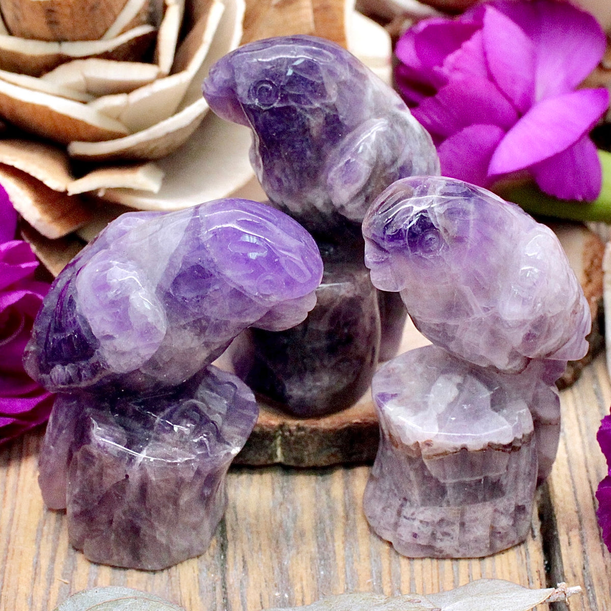 Amethyst Parrot