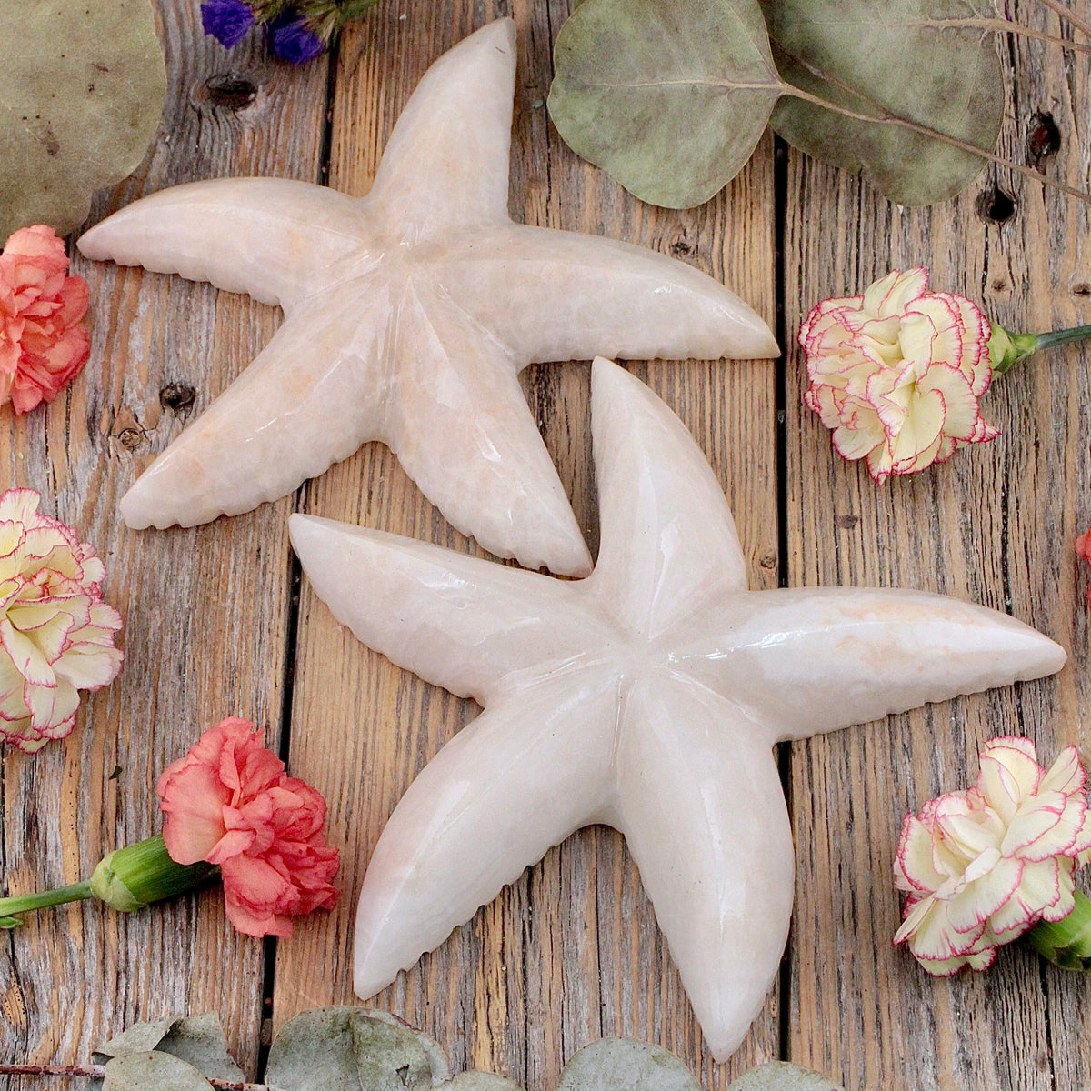 Marble Starfish