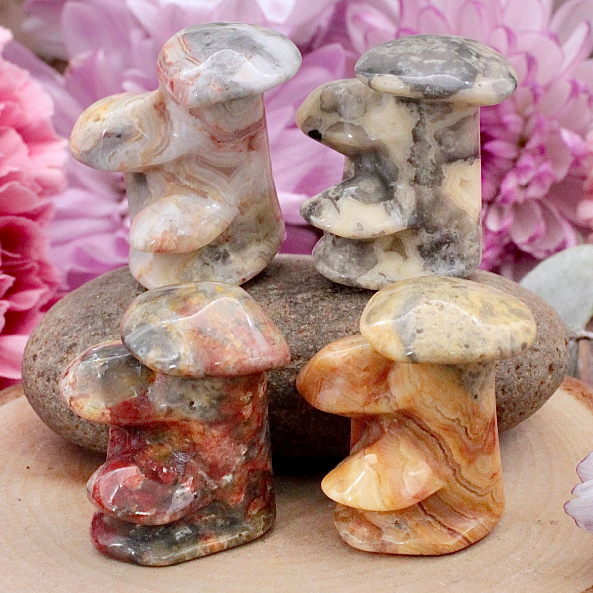 Crazy Lace Agate Mushroom Cluster