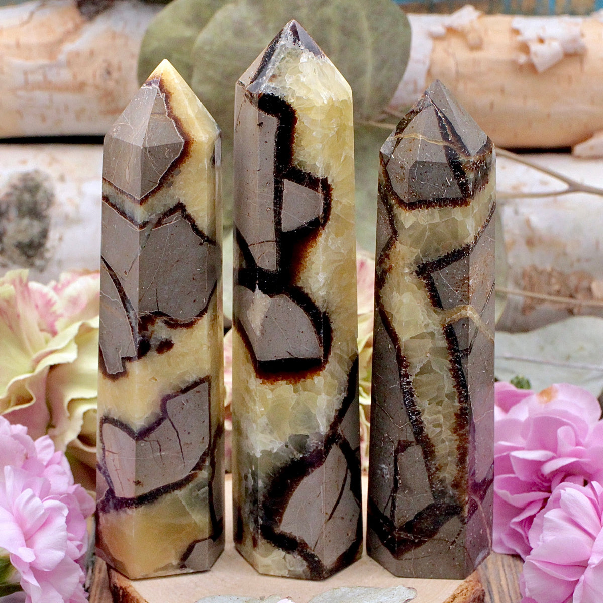 Septarian Tower