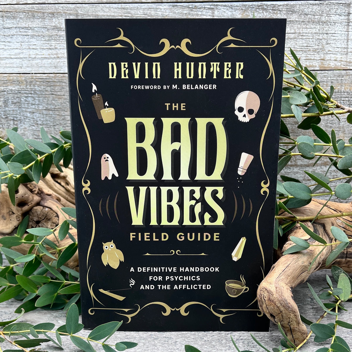 The Bad Vibes Field Guide: A Definitive Handbook for Psychics and the Afflicted