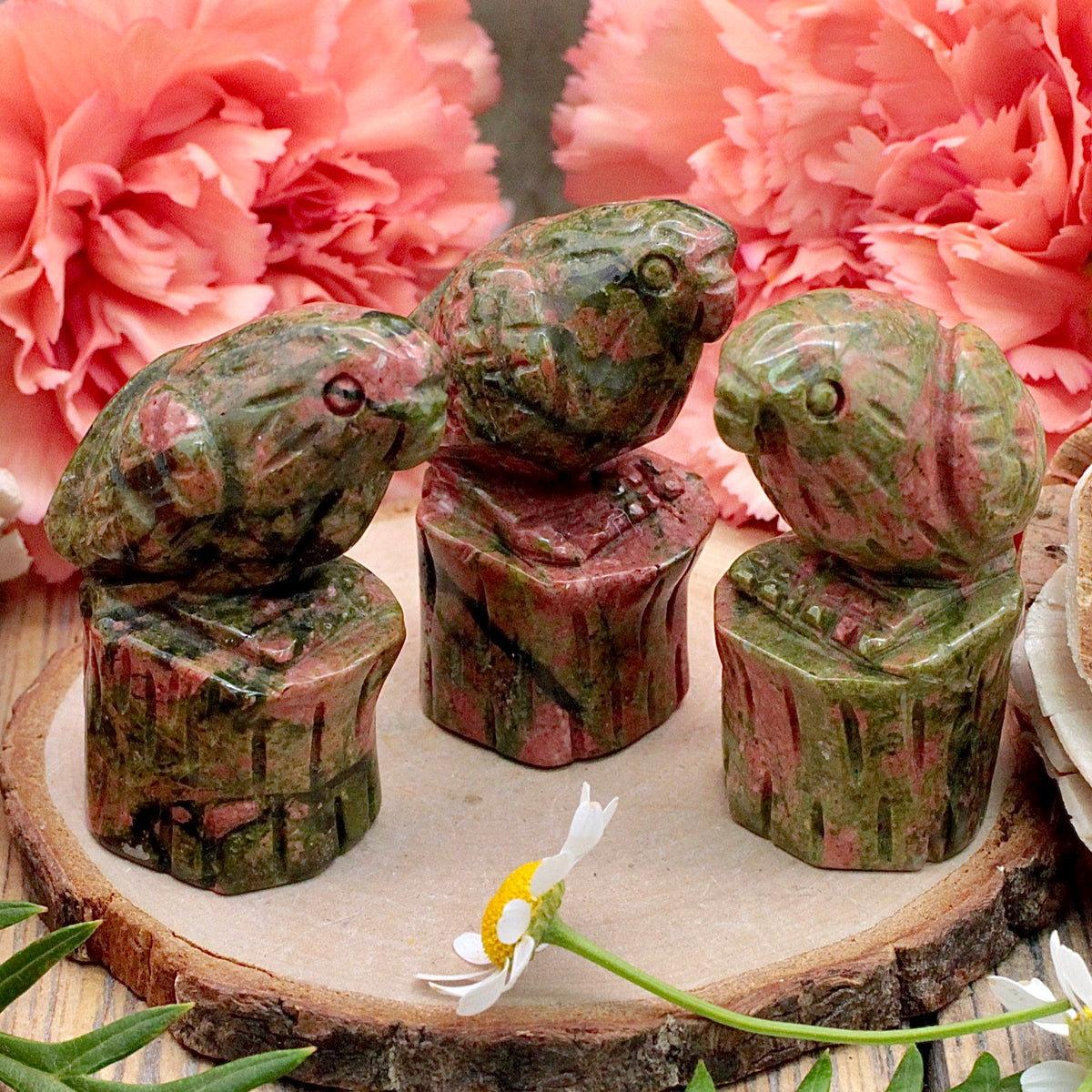 Unakite Parrot