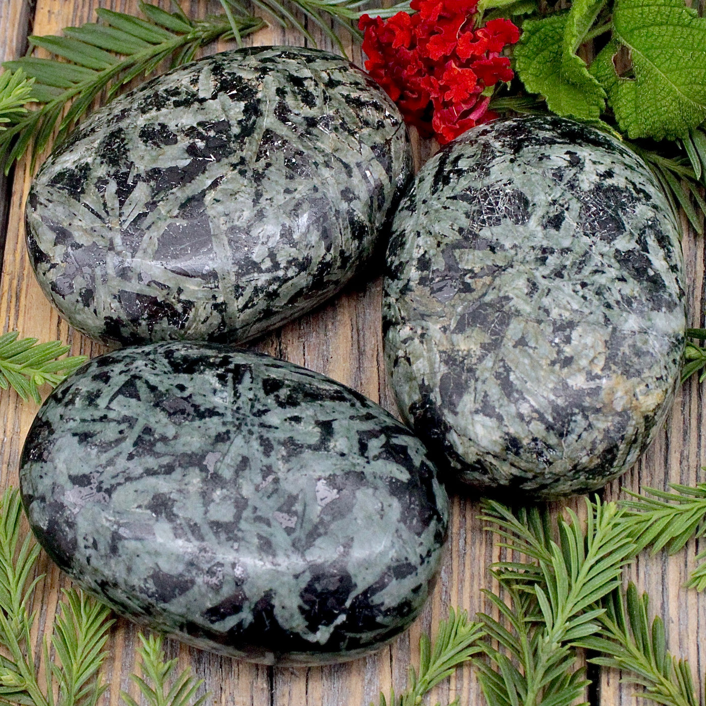 Black and Green Jasper Palm Stone