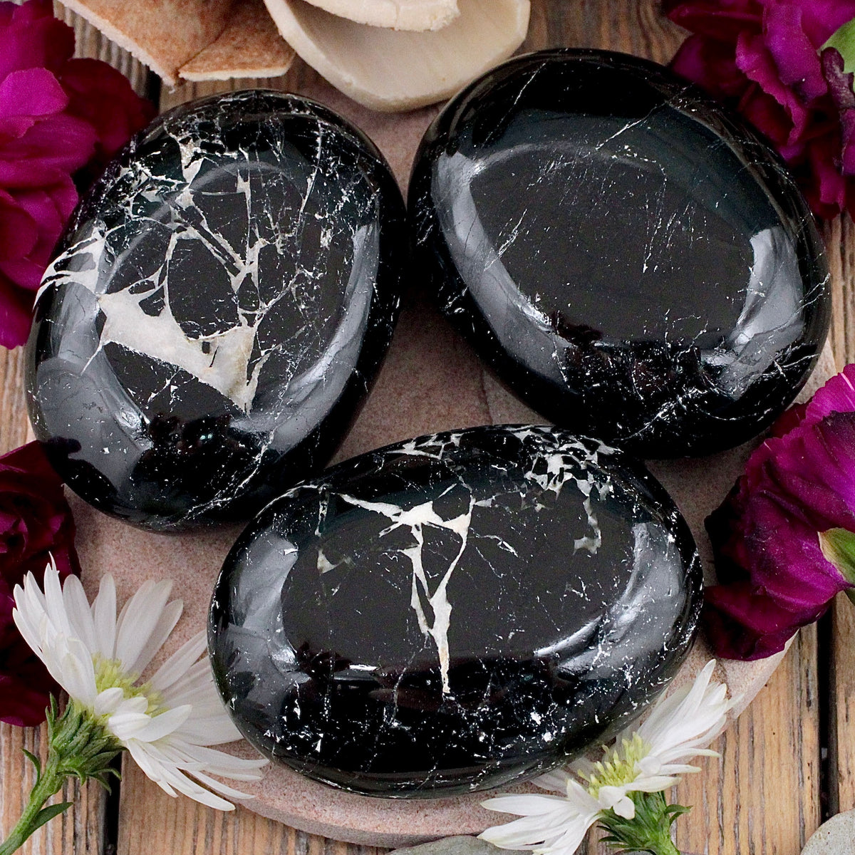 Black Tourmaline with Quartz Palm Stone
