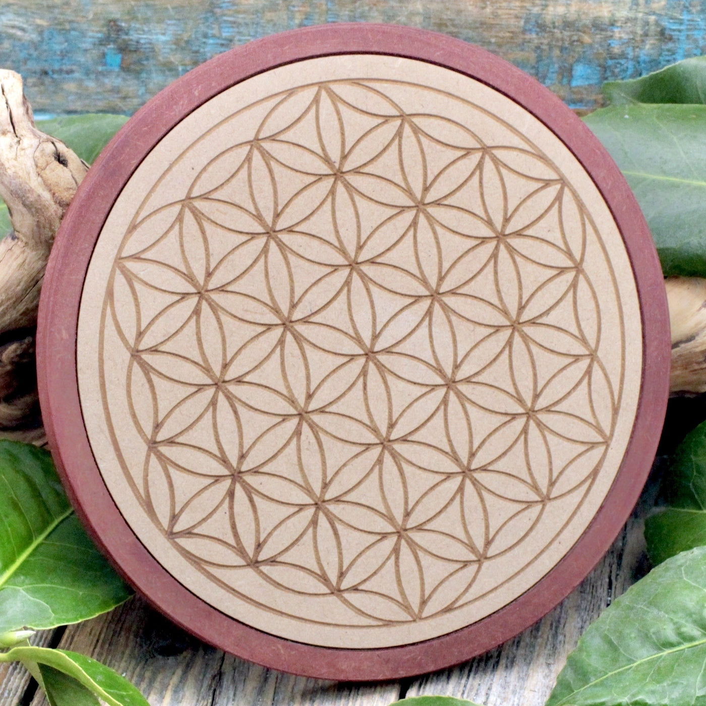 Flower of Life Grid