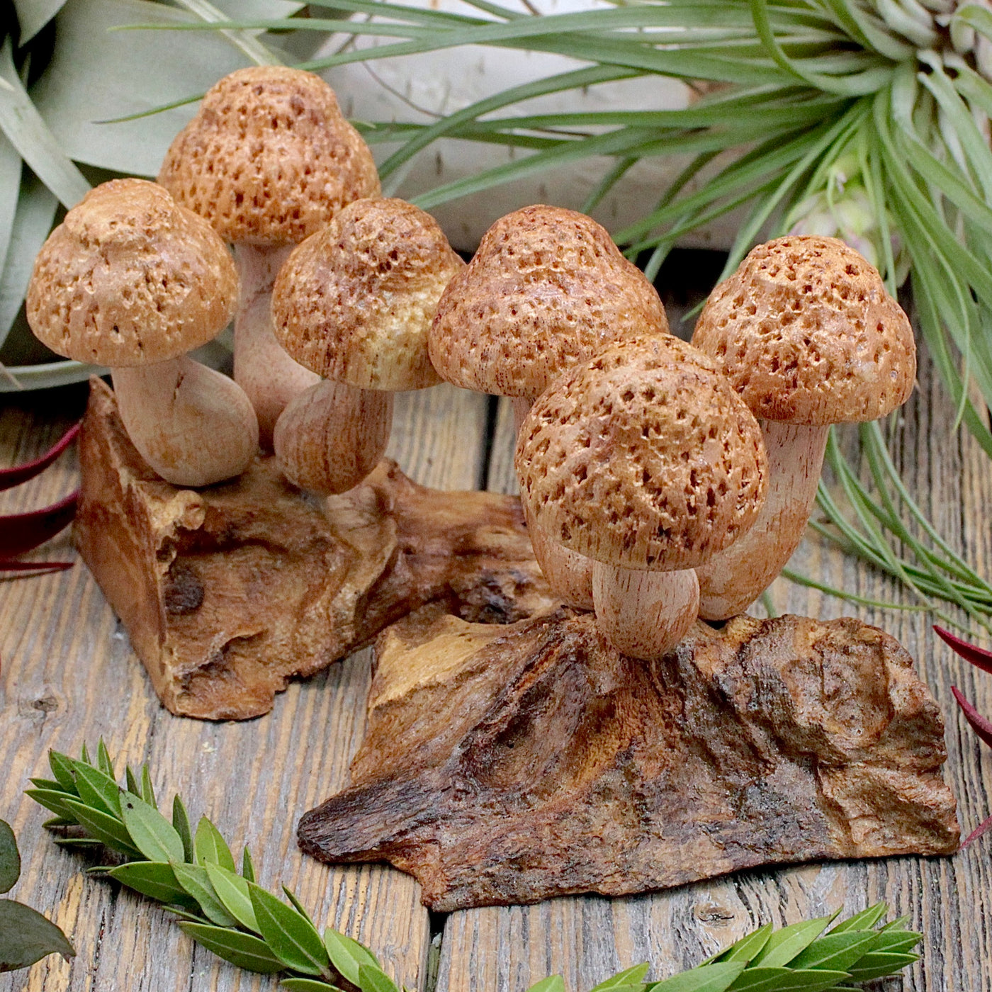 Wooden Mushroom Cluster