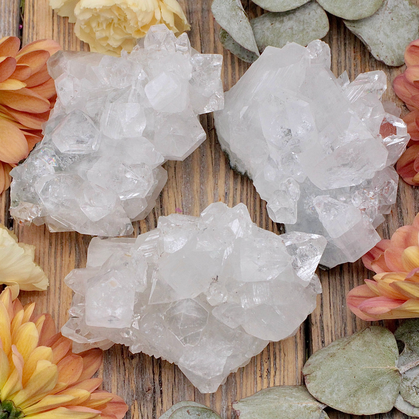 Apophyllite Cluster