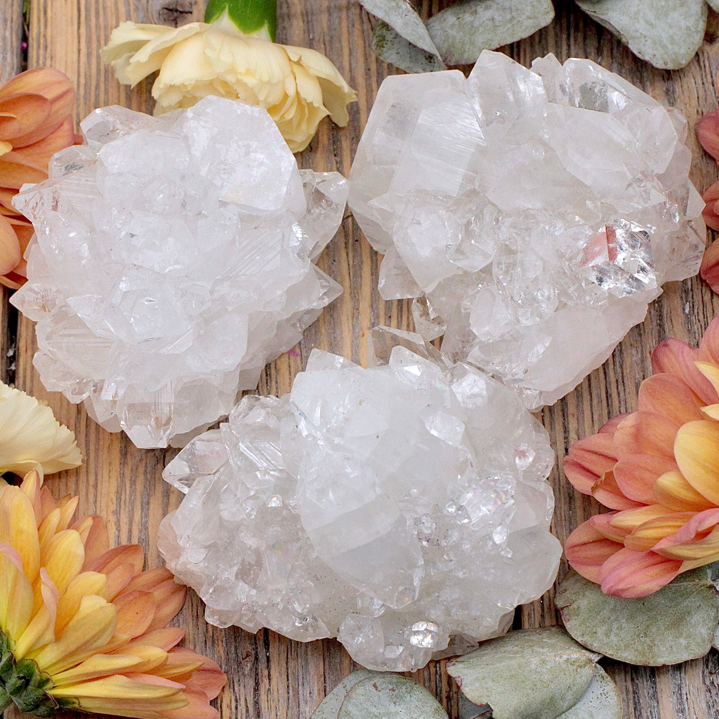 Apophyllite Cluster