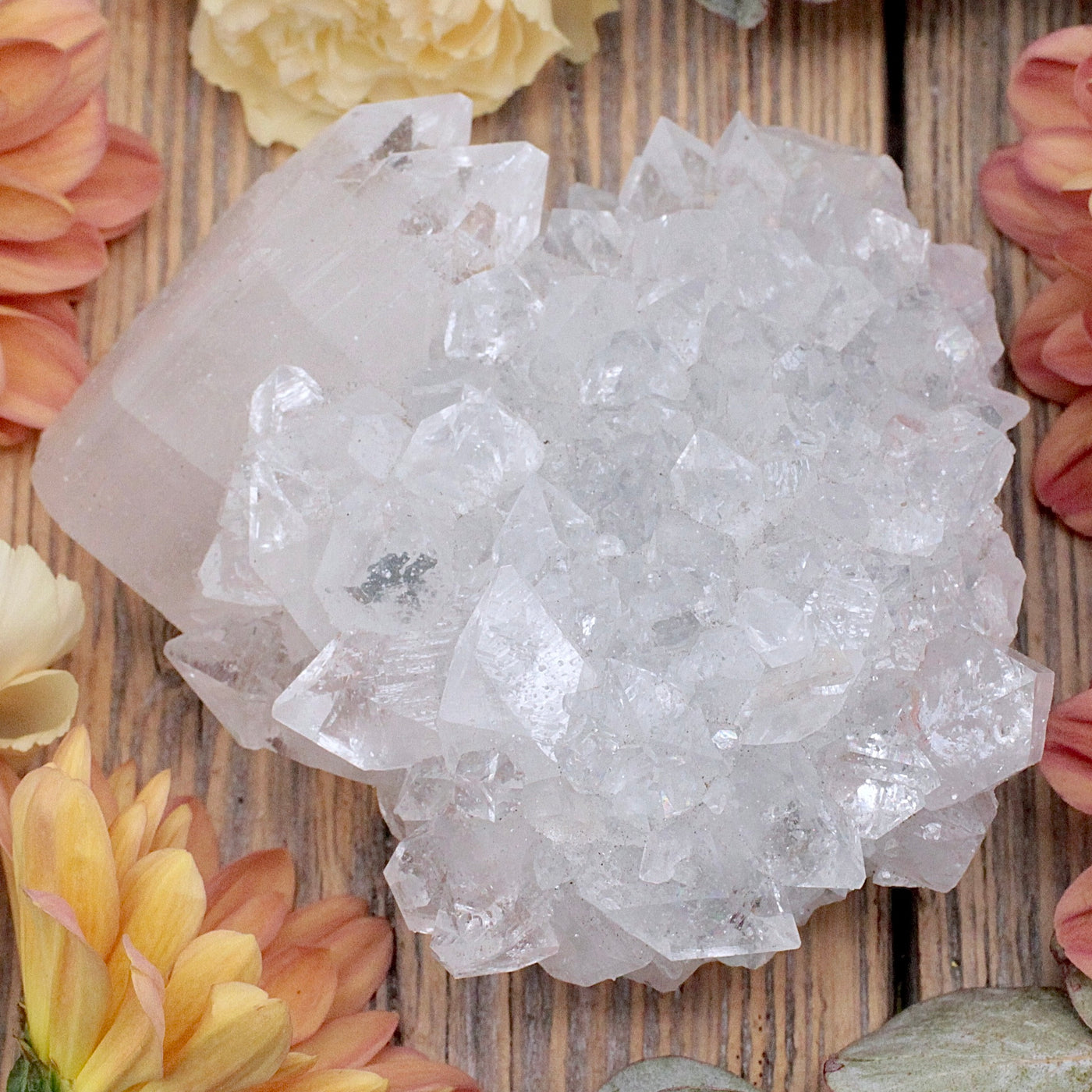 Apophyllite Cluster