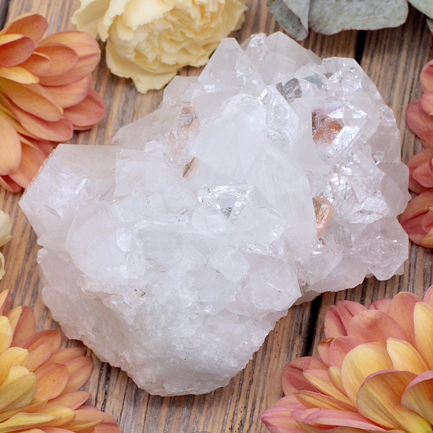Apophyllite Cluster