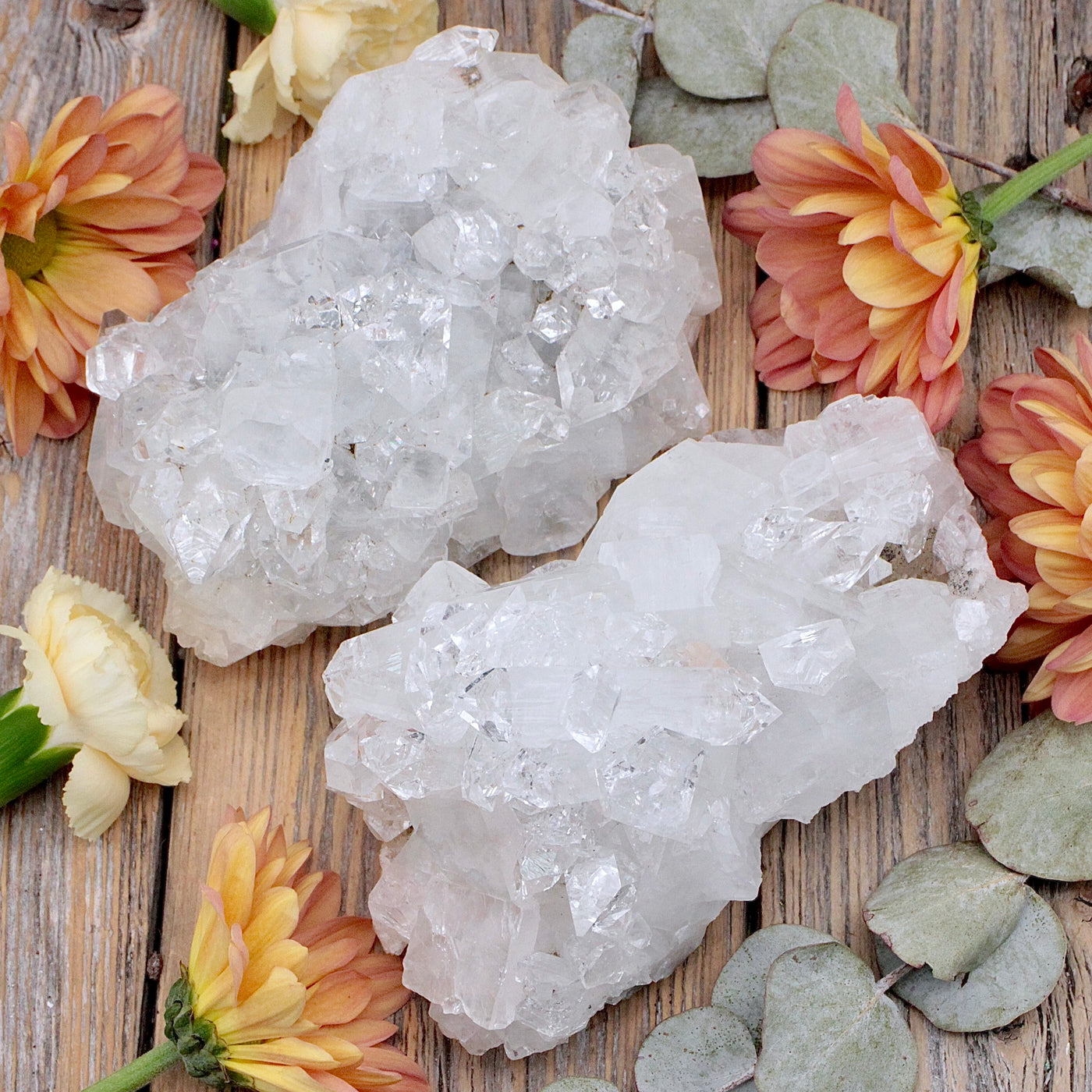 Apophyllite Cluster