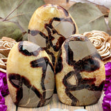 Septarian Freeform