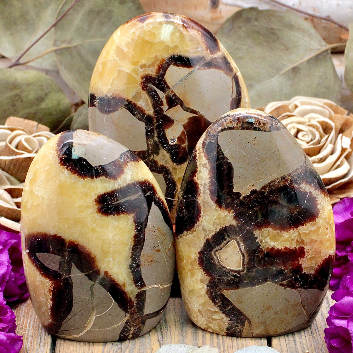Septarian Freeform