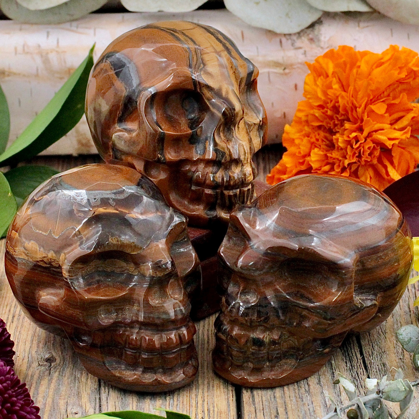 Tiger's Eye Skull