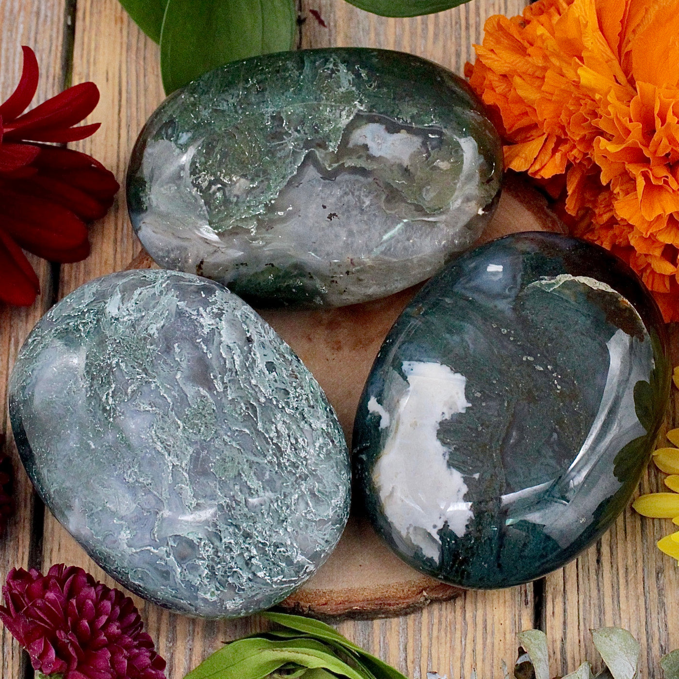 Moss Agate Palm Stone