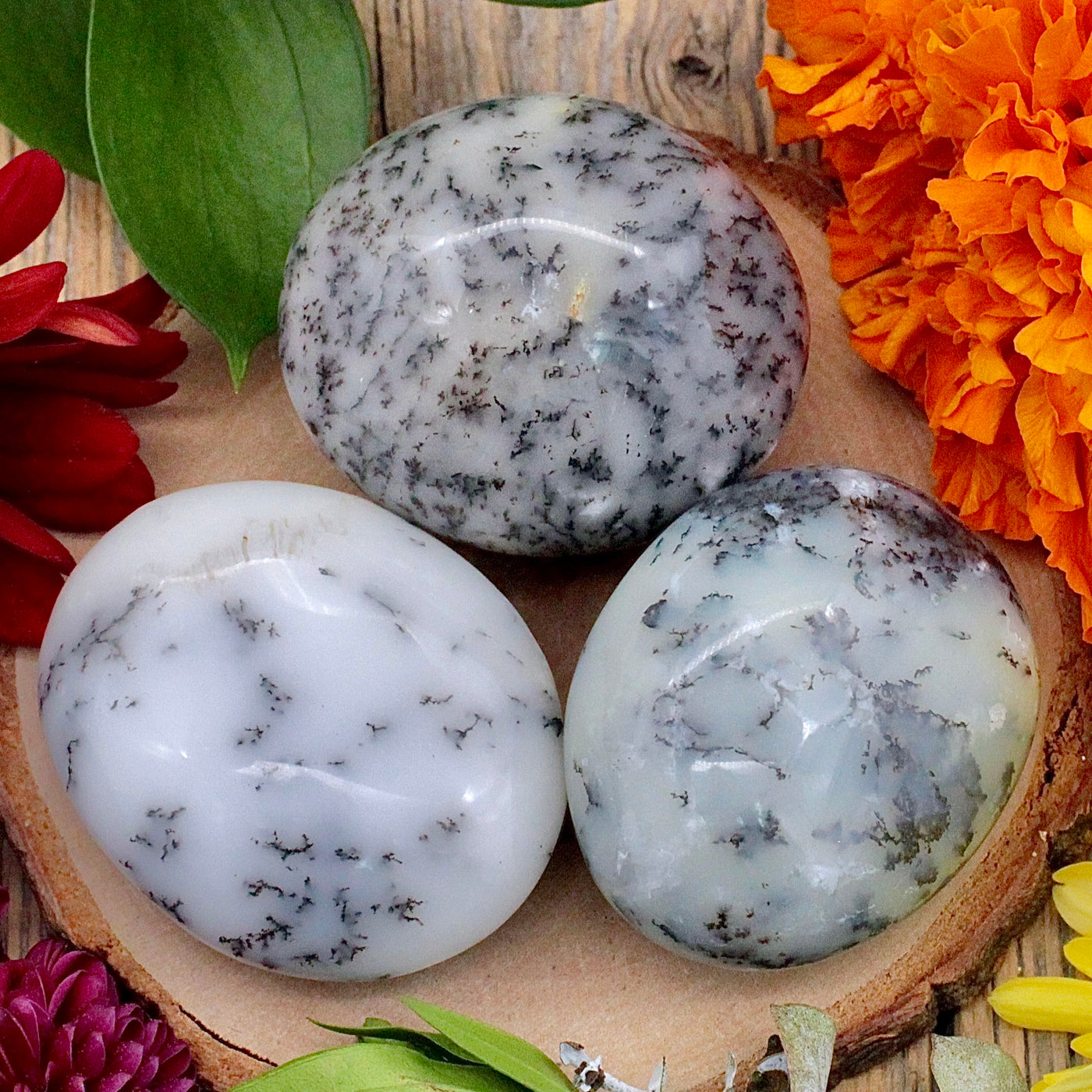 White Dendritic Agate Pocket Stone
