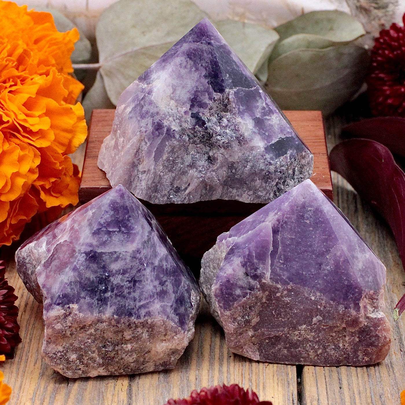 Lepidolite Power Point