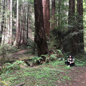 Rock Mama Suzanne sitting in a forest