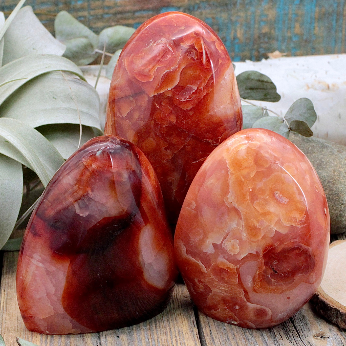 Carnelian Freeform