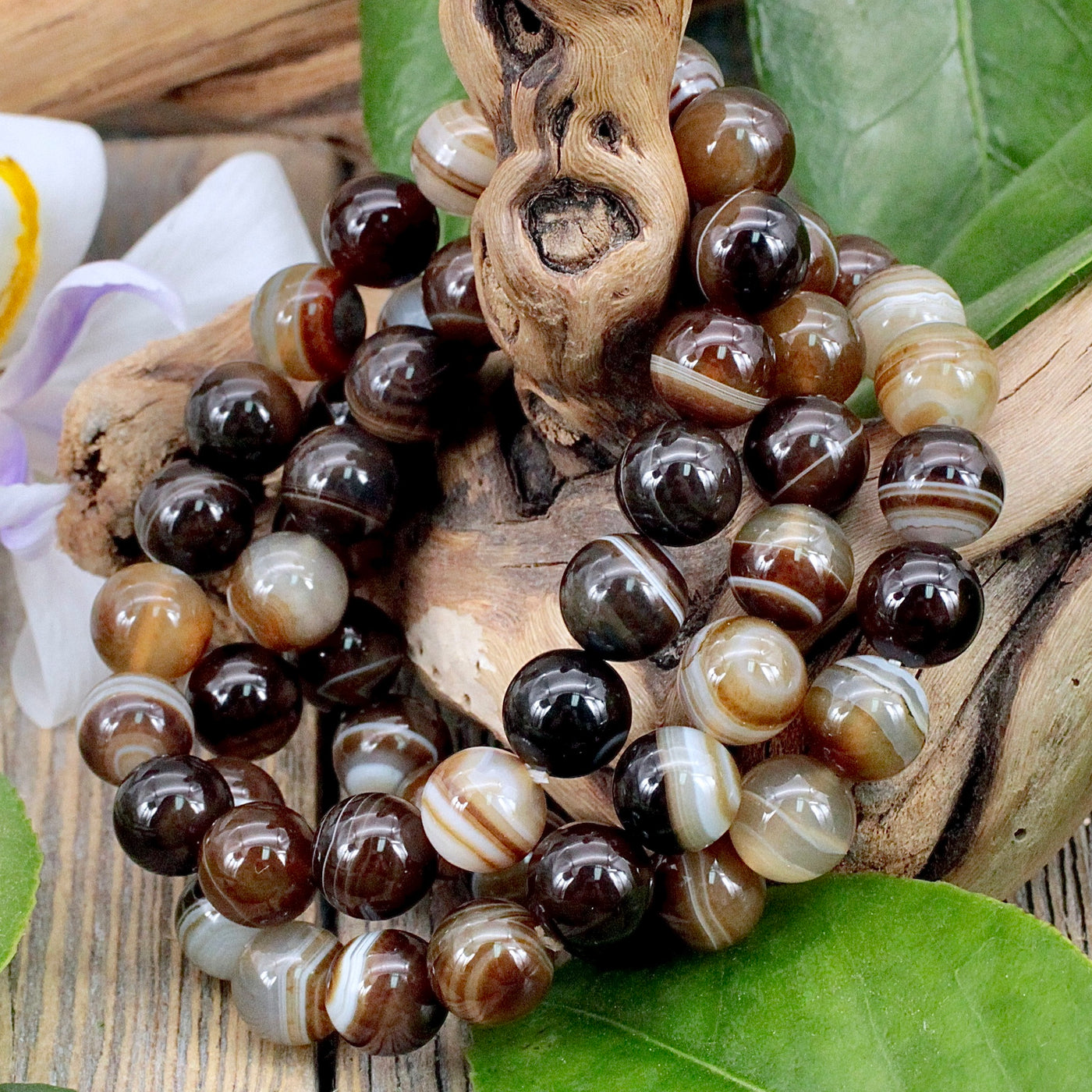 Brown Agate Bracelet - 10mm