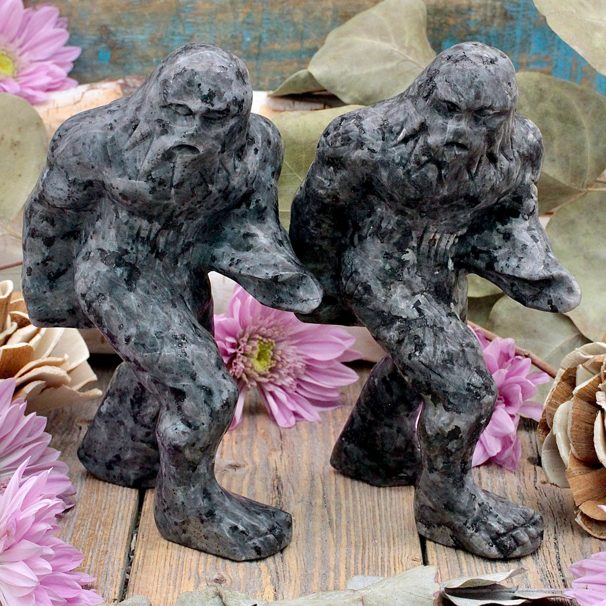 Larvikite Bigfoot