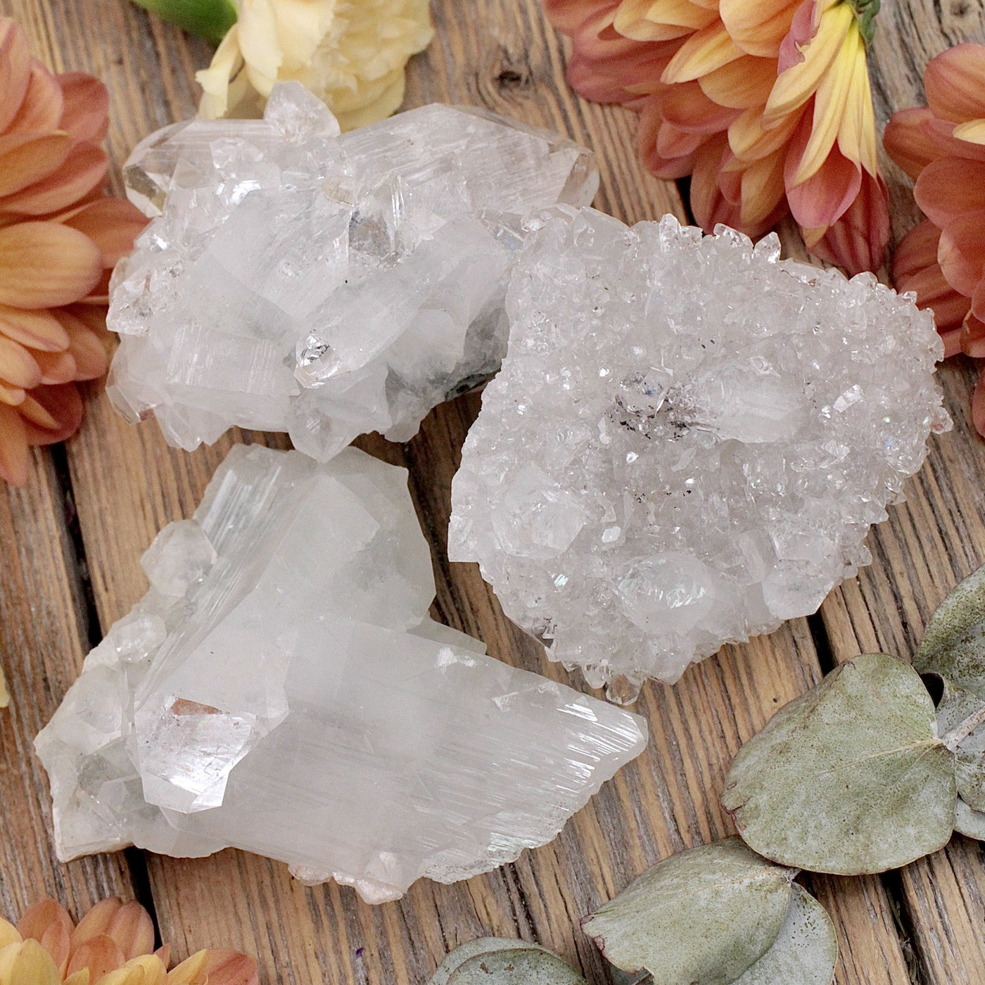 Apophyllite Cluster