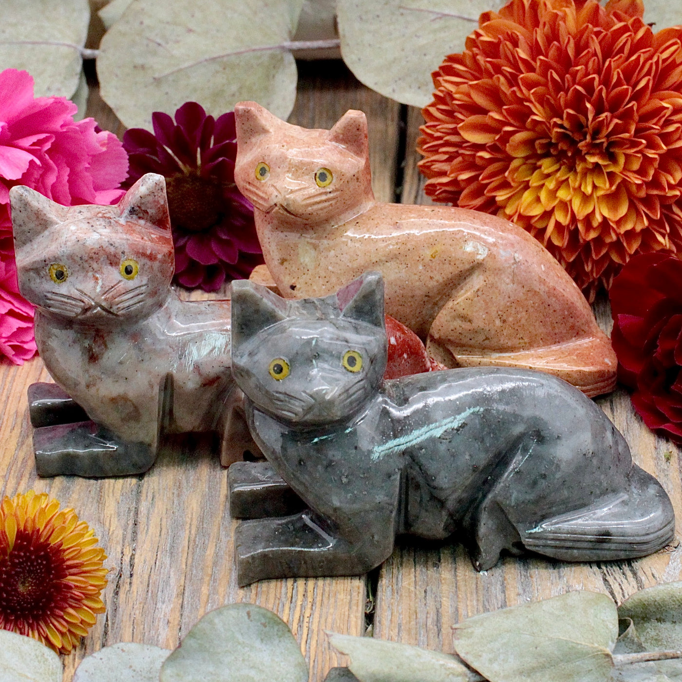 Peruvian Jasper Laying Cat