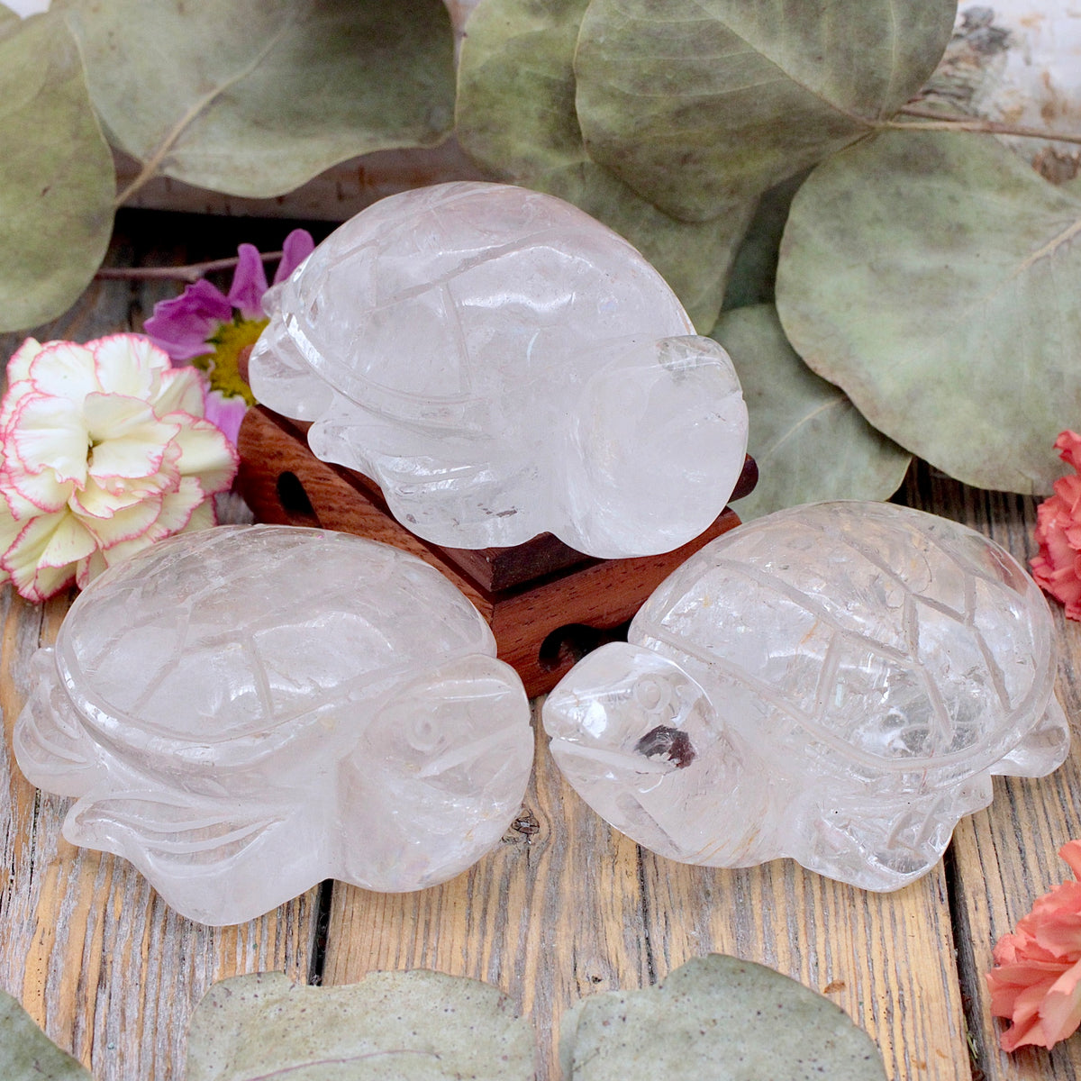 Quartz Turtle