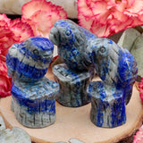Lapis Lazuli Parrot
