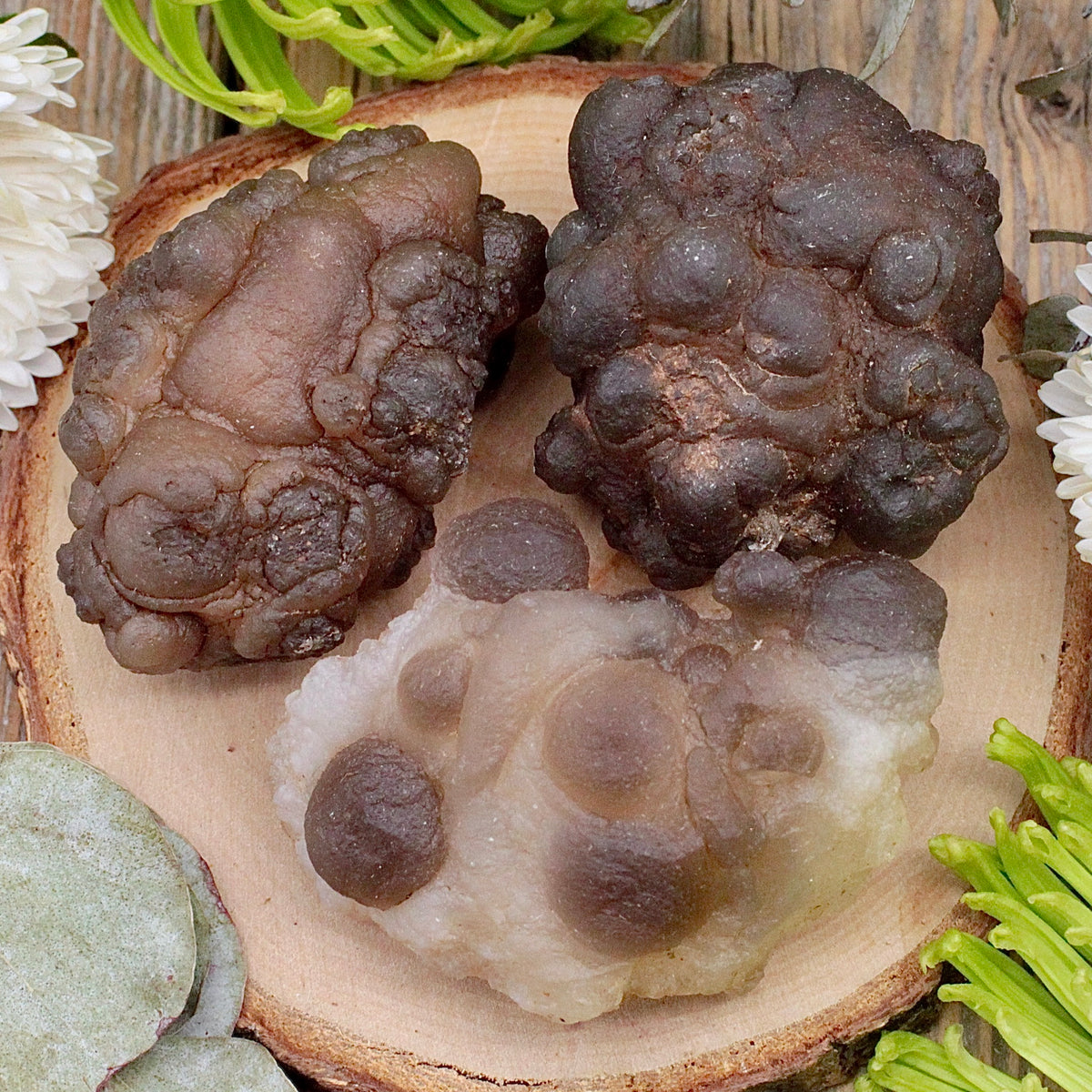 Chalcedony Nodule