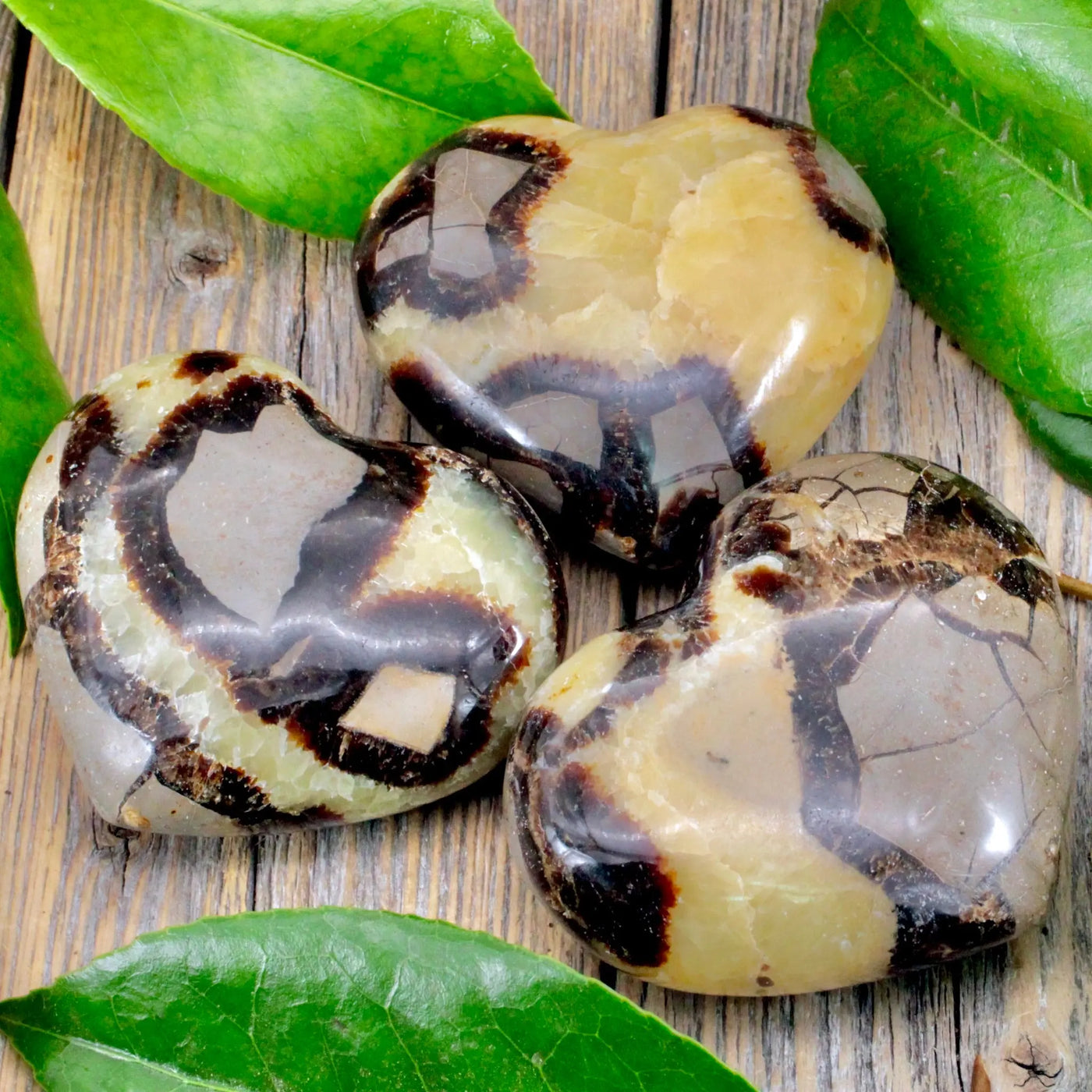 Septarian Heart