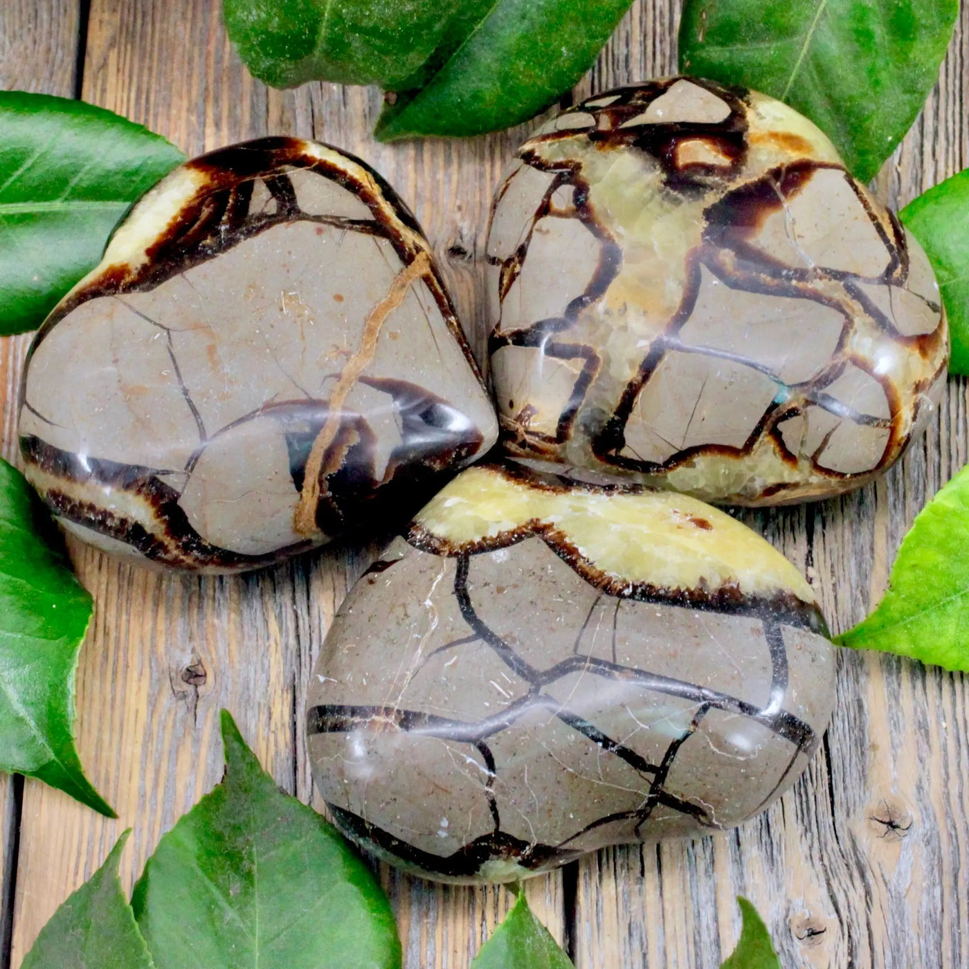 Septarian Heart