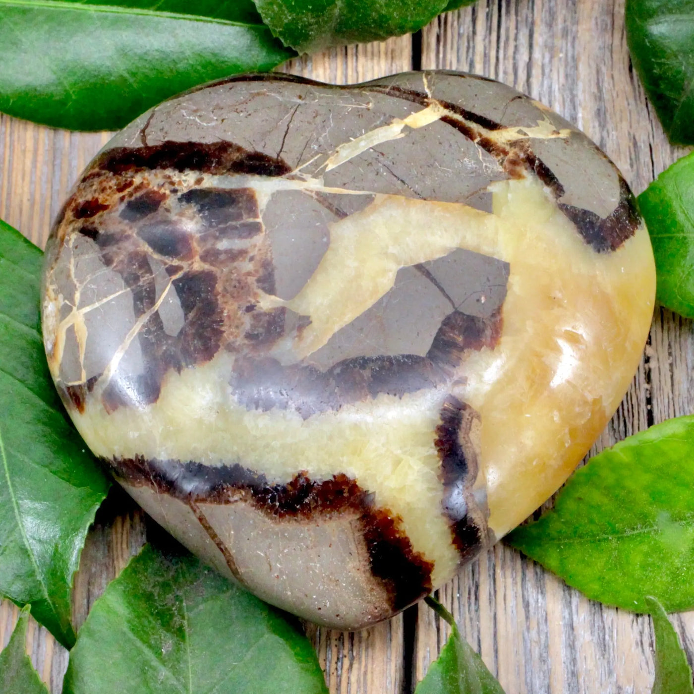 Septarian Heart