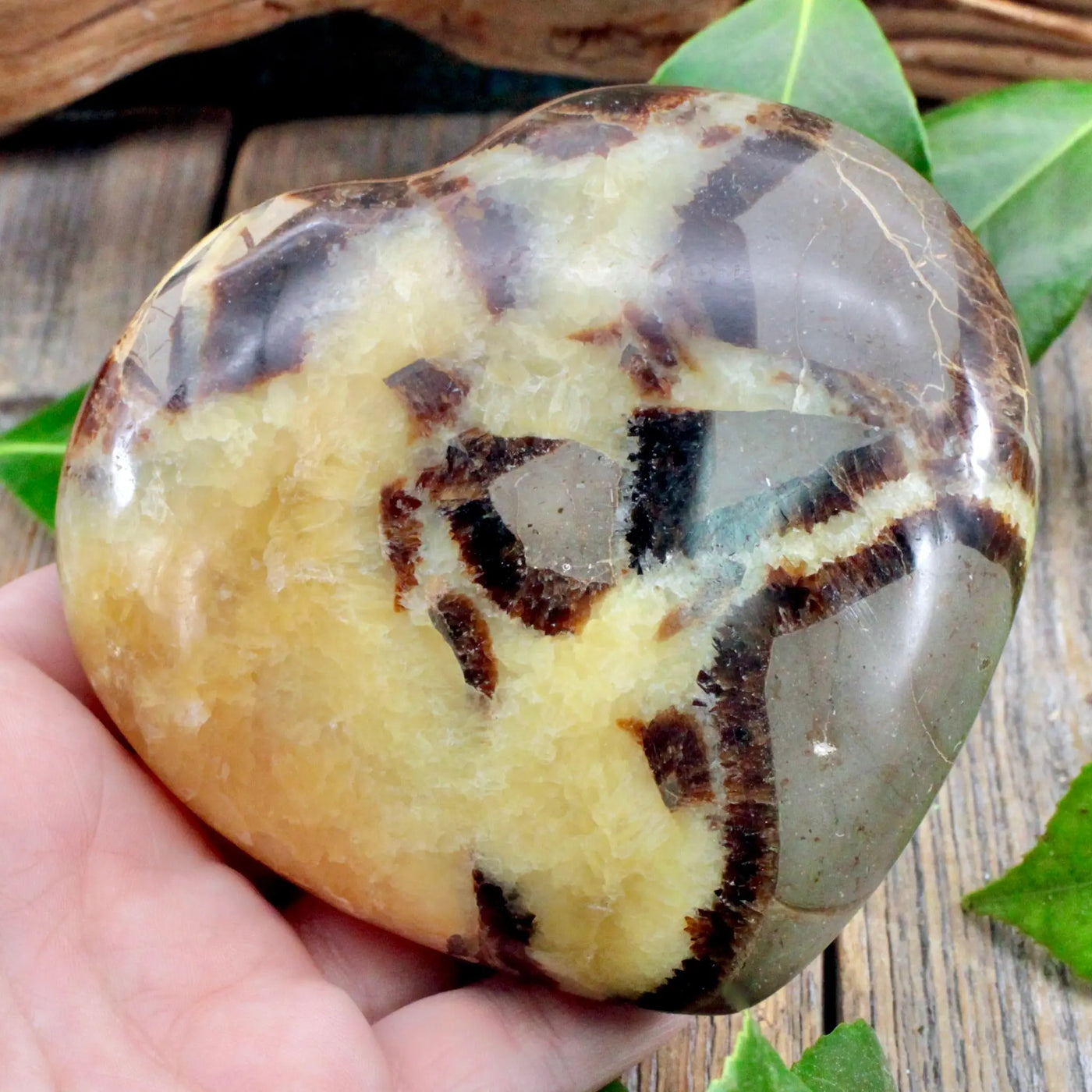 Septarian Heart