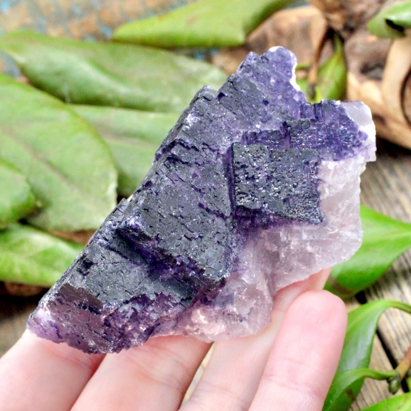 Elestial Muzquiz Fluorite Specimen