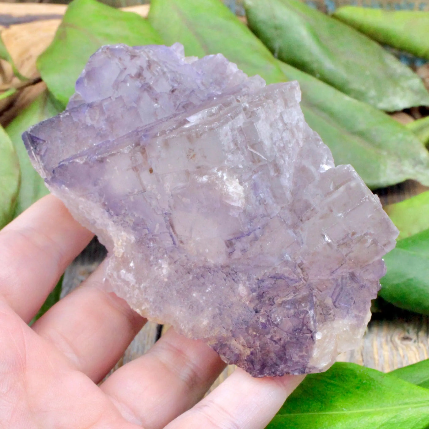 Elestial Muzquiz Fluorite Specimen