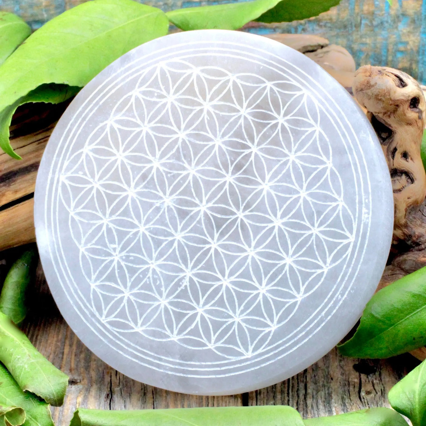 Selenite Charging Plate - Flower of Life