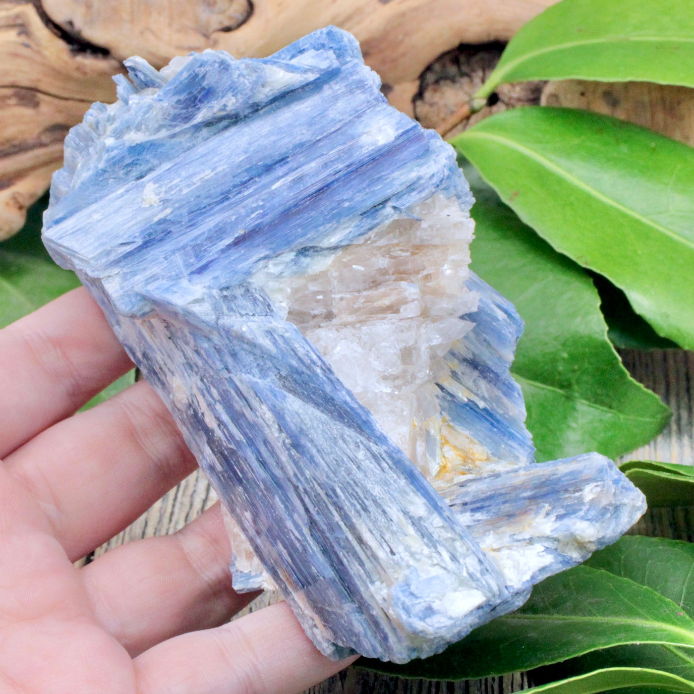 Blue Kyanite Rough Chunk