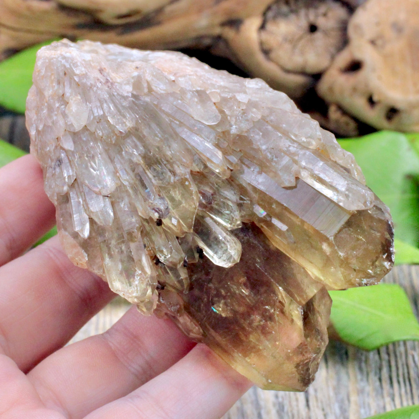 Congo Kundalini Citrine Cluster