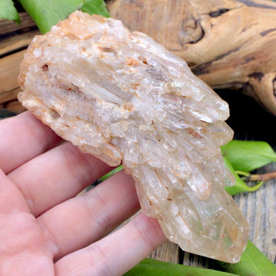 Congo Kundalini Citrine Cluster