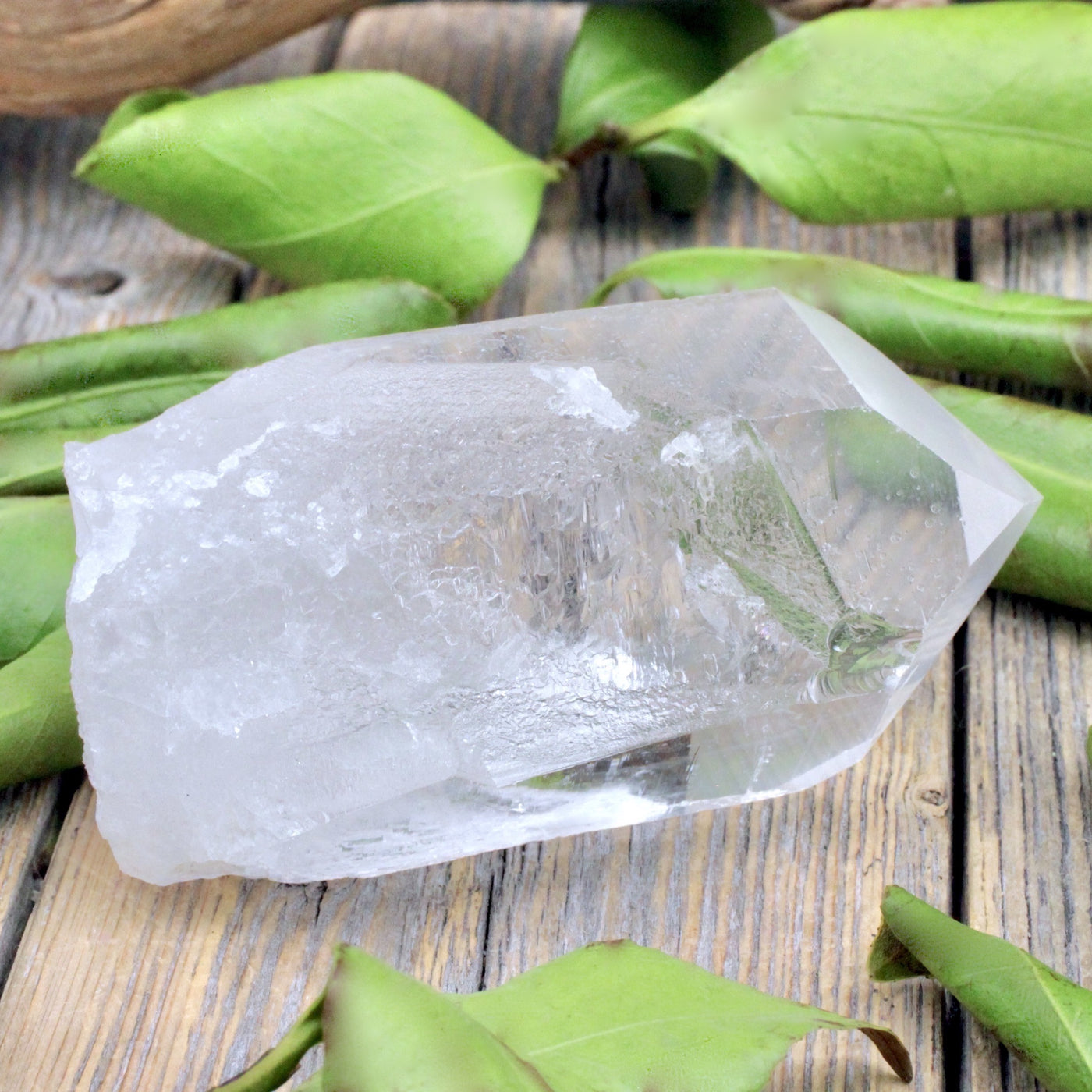 Lemurian Quartz Point