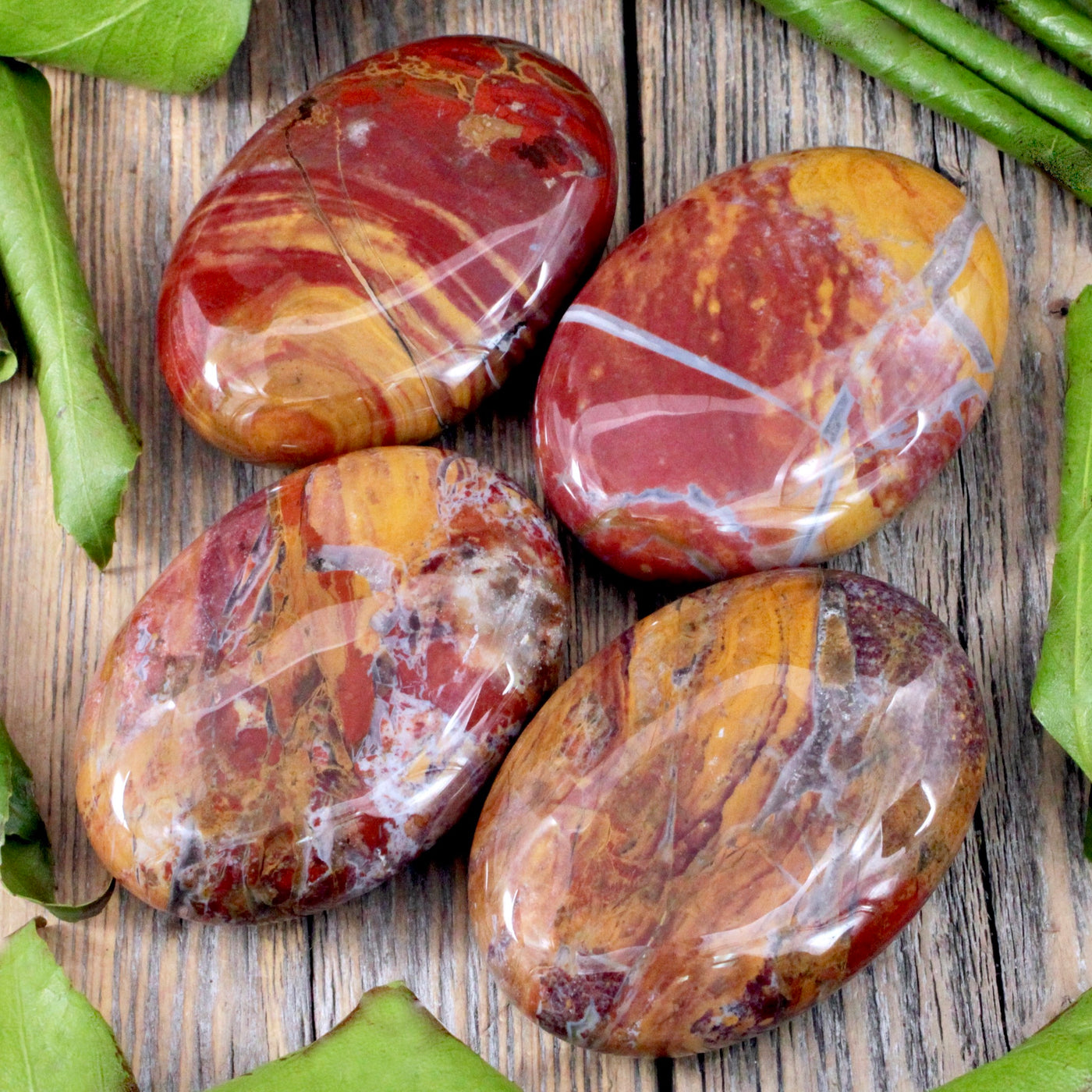 Petrified Wood Palm Stone