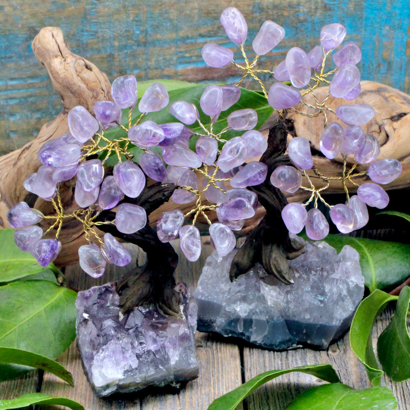 Amethyst Crystal Tree with Amethyst Cluster Base