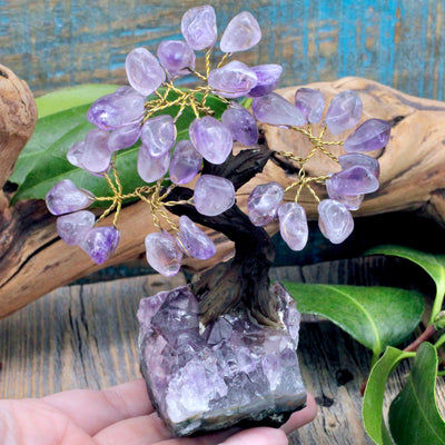 Amethyst Crystal Tree with Amethyst Cluster Base