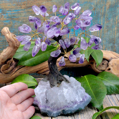 Amethyst Crystal Tree with Amethyst Cluster Base