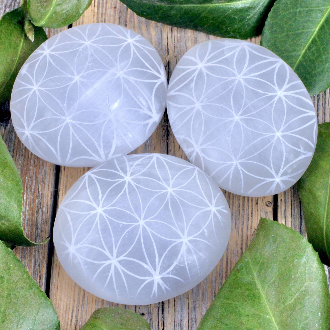 Selenite Flower of Life Palm Stone