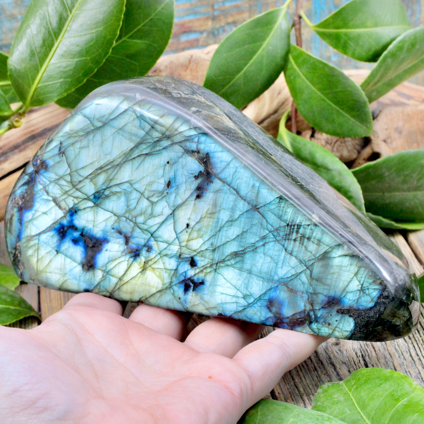 Labradorite Freeform