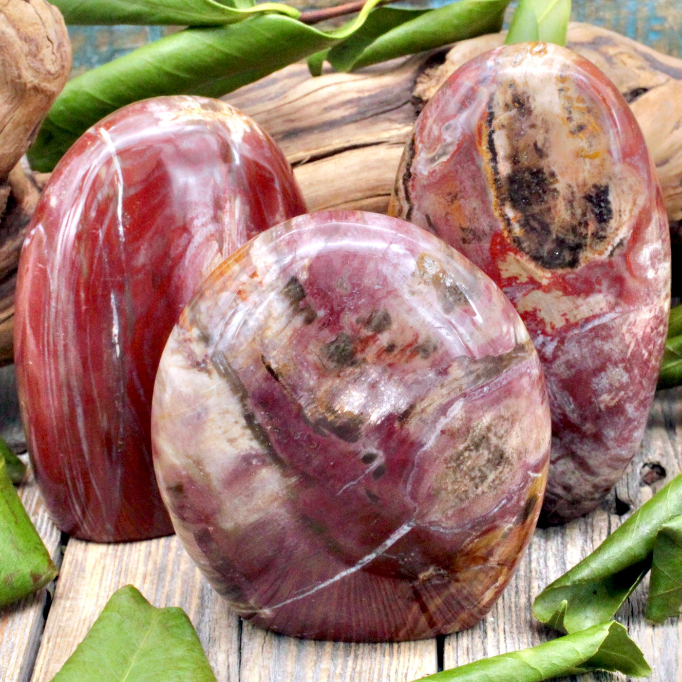 Petrified Wood Freeform