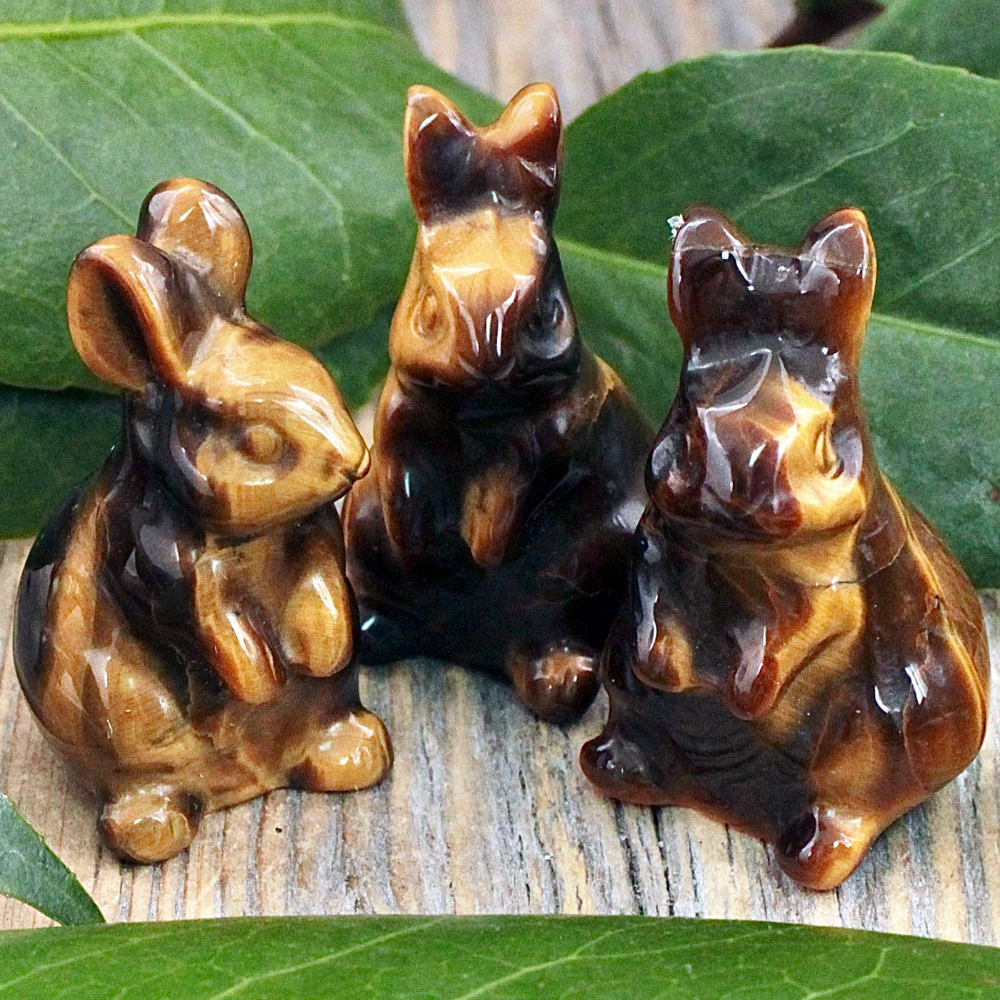 Tiger's Eye Bunny