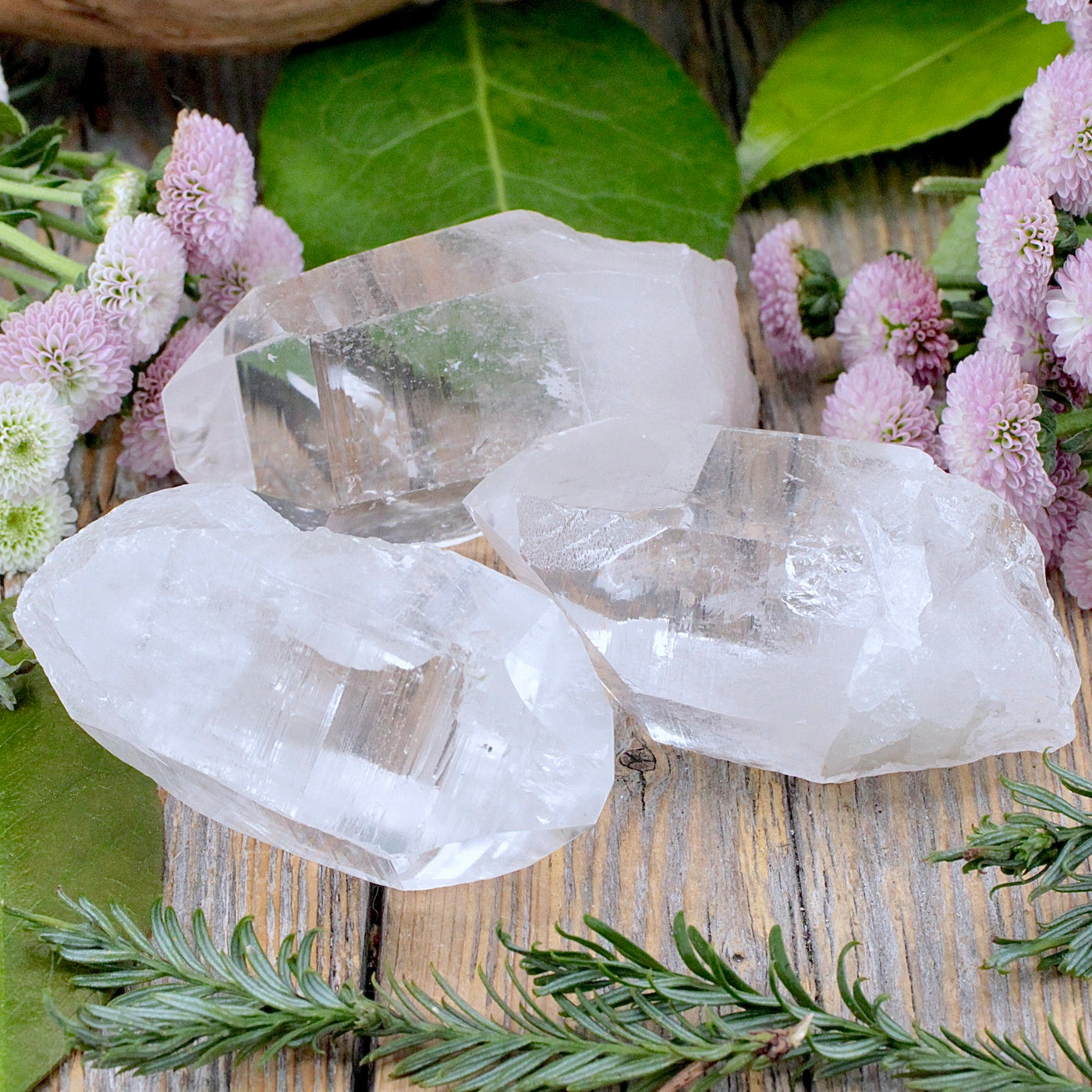 Lemurian Quartz Point